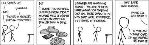 One male (the Author) describes his fond reverence for modern digital storage devices, specifically a MicroSD card owned by his male companion. He even goes so far as to admit the device sexually arouses him. The owner then states that if the card becomes lodged in the aroused man’s anus, he will not aid in its removal.
Survey: what other computing devices do you think the Author has inserted into his rectum?